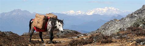 cultural journey  trekking  central bhutan bhutan acorn tours  travel