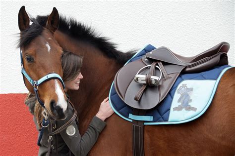 saddle equitation cheval