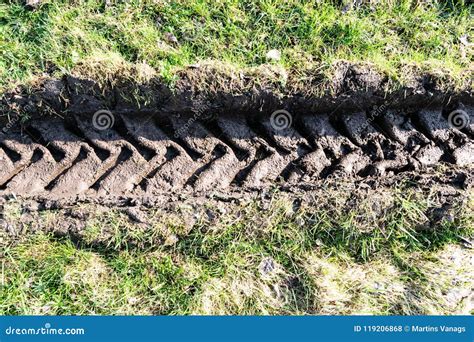 tractor tire tracks  green grass stock photo image  path background