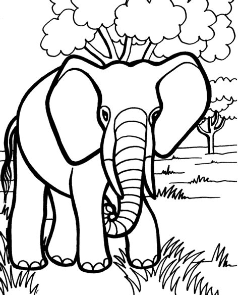 elephant coloring sheet topcoloringpagesnet