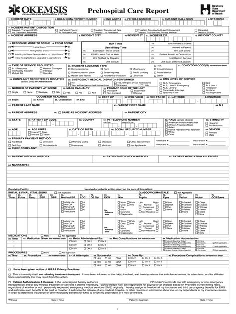 patient care report examples fill  printable fillable