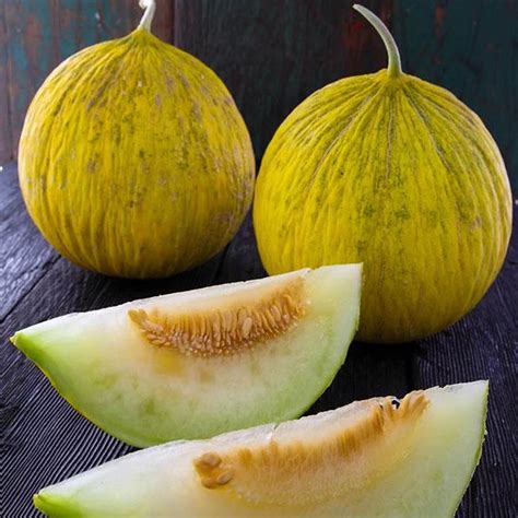 organic casaba sungold melon    seeds organic  gmo open