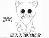 Beanie Boo Coloring Pages Cat Boos Printable Moonlight Cute Sheets Treasure Template Print Kids Getdrawings Bettercoloring sketch template