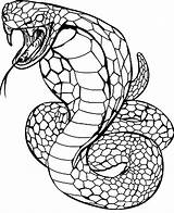 Cobra Ausmalbilder Schlangen Slang Schlange Ausmalbild Drucken 색칠 공부 Terborg600 Colorare Cartonionline Serpenti Snakes Sheets Ninjago sketch template