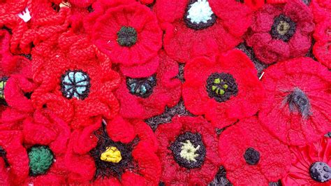 Close Up Of Some The 250 000 Poppies To Commemorate Anzac Day 2015