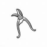 Shears Pruning Rawpixel Scissors sketch template