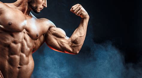 move workout  bigger biceps muscle fitness