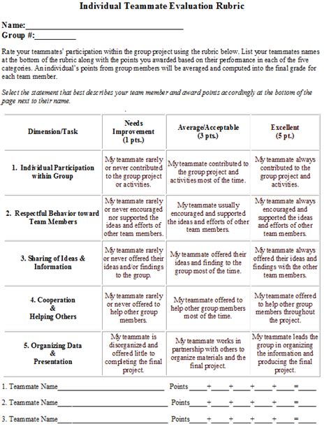 individual team member rubric  group projects rubrics  projects