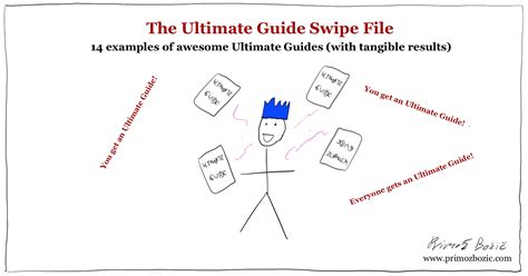 ultimate guide examples   blow   swipe file