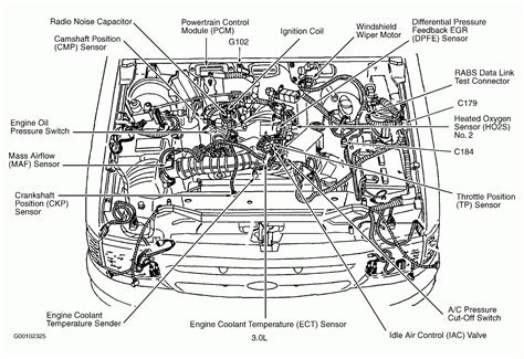firing order  ford escape wiring  printable