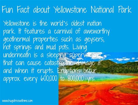 Fun Facts About Yellowstone National Park With Images