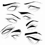 Reference Eyes References Poses Eyebrow Character sketch template