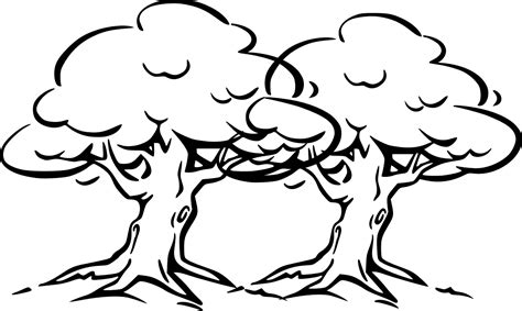 printable tree coloring pages  kids  pics   draw