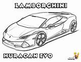 Lamborghini Yescoloring sketch template
