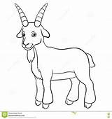 Goat Capro Sorrisi Coloritura Allevamento Svegli Landbouwbedrijf Leuke Kleurende Goats sketch template