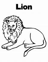 Lions Lew Dzieci Kolorowanki Cub Bestcoloringpagesforkids Getdrawings Twistynoodle sketch template