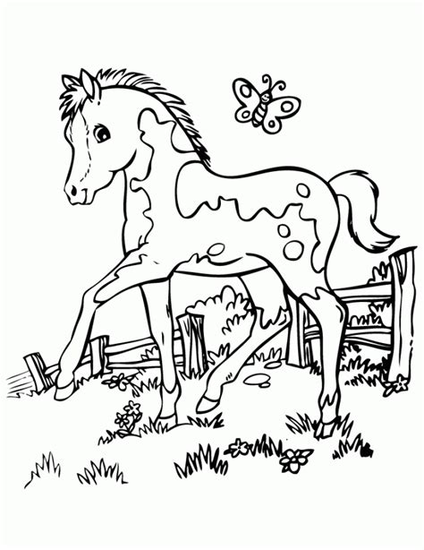 picture  horses coloring pages   children slii