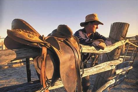 australian stockman tautdanningno