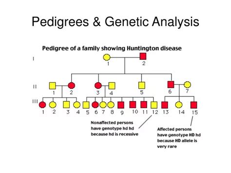 Ppt Pedigrees And Genetic Analysis Powerpoint Presentation Free
