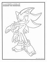Coloring Shadow Pages Hedgehog sketch template