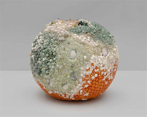 kathleen ryan creates moldy fruit sculptures from semi