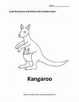 Marsupial sketch template