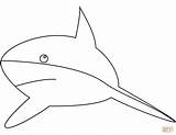 Coloring Shark Simple Pages Drawing Printable sketch template