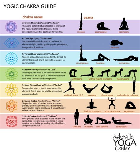 yoga chakra guide asheville yoga center blog post yoga center