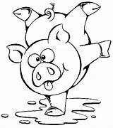 Pig Equilibrist sketch template