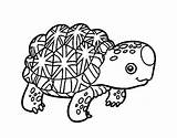 Coloring Tortoise Desert Hare Pages Gopher Galapagos Getcolorings Gophers Getdrawings Color Colorings sketch template