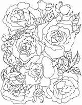Coloring Pages Rose Roses Flower Flowers Adult Printable Drawing Adults Family Happy Line Outline Books Kids Sheets Fun Georgia Bunch sketch template