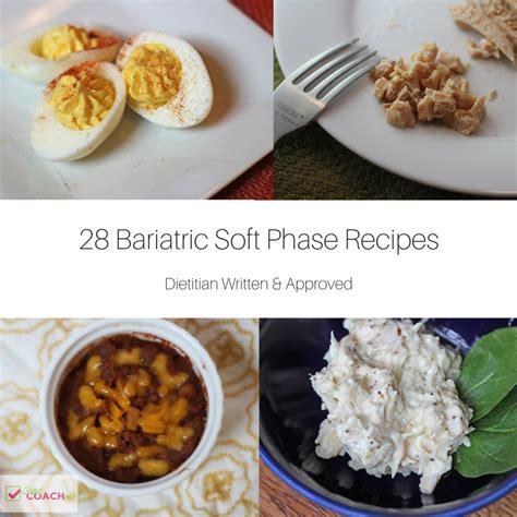 Soft And Pureed Recipes After Bariatric Surgery Pureed Food Recipes