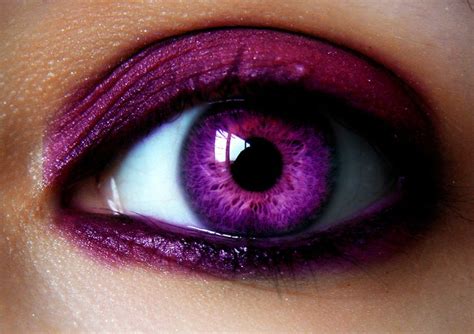 Best 25 Real Purple Eyes Ideas On Pinterest Violet Eyes