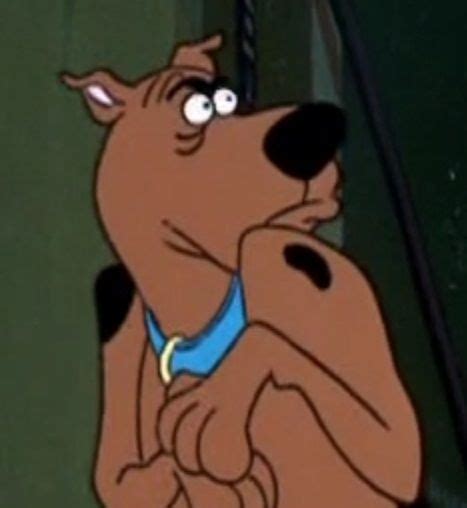 test your scooby doo knowledge test