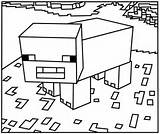 Minecraft Pig Coloring Pages Printable Kids Print sketch template