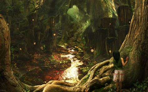 fairy tale forest wallpapers  images wallpapers pictures
