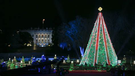 national christmas tree    scheme  sell  product