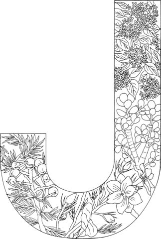 letter  coloring page  english alphabet  plants category