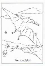 Dinosaurier Kleurplaat Dinosaurus Kleurplaten Dinosauri Flugsaurier Dieren Dinosaure Tyrannosaurus Pterodactylus Genial Stampare Dino Sammlung Animaatjes Malvorlage Dinosaurussen Ausdrucken Scoredatscore Einzigartig sketch template