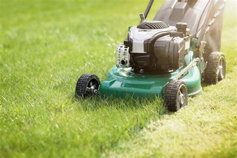 climate change  threat  britains carefully manicured lawns