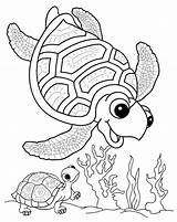Animale Desene Coloriage Animaux Marins Oceano Marin Unterwasserwelt Vorlage Usoare Seepferdchen Krebs Colorat Marini Sottomarino Coloriages Alfio sketch template
