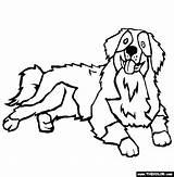 Bernese Colorear Pyrenees Hond Kleurplaten Honden Rysunek Bernersennen Pies Kolorowanki Perro Pasterski Colouring Domowe Zwierzęta Tekeningen Hondenrassen sketch template