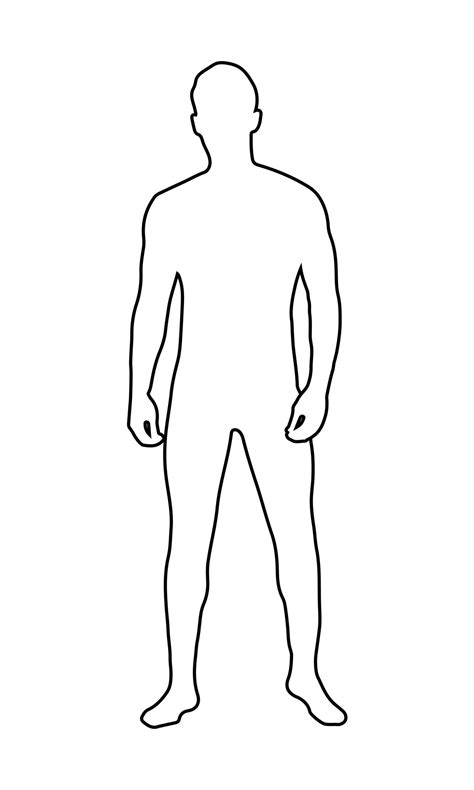 vector outline human body mens figure  linear style  outline