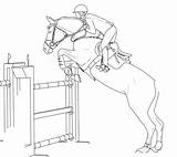 Lineart Showjumping Sketch sketch template