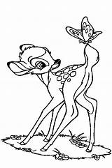 Deer Coloring Pages Baby Kids Drawing Colouring Cartoon Printable Book Head Print Sheets Cute Disney Clipart Animals Easy Bambi Drawings sketch template