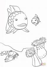 Fish Rainbow Small Coloring Pages Crawfish Drawing Color Printable sketch template