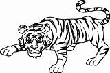 Tiger Coloring Siberian Attack Smart Wecoloringpage Pages Getcolorings sketch template
