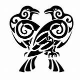 Ravens Raven Huginn Muninn Hugin Munin Norse Odin Tattootribes Mythology Odins Symbole Vikings Stencil Crow Mytologi Nordisk 1886 Idinfo Wikinger sketch template
