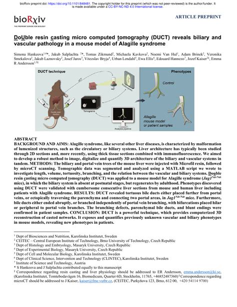 Pdf Double Resin Casting Micro Computed Tomography Duct