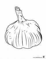 Ajo Garlic Colorir Alho Desenhos Frutas Verduras Knoblauch Ail Allium Aji Dibujo Um Hellokids Legumes Temperos sketch template